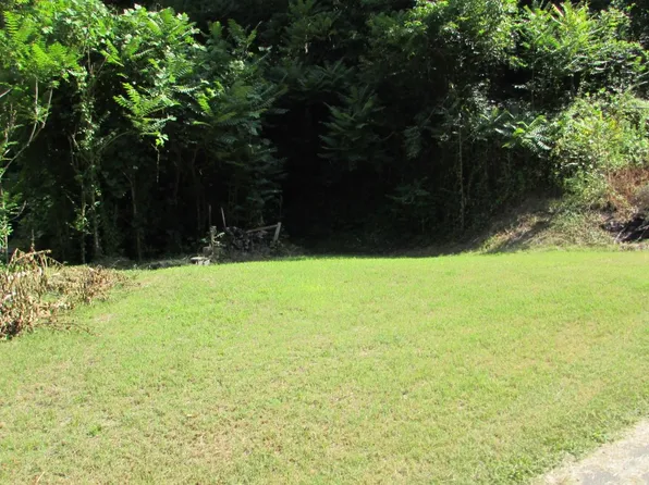 99 Relief Rd, Green Mountain, NC 28740