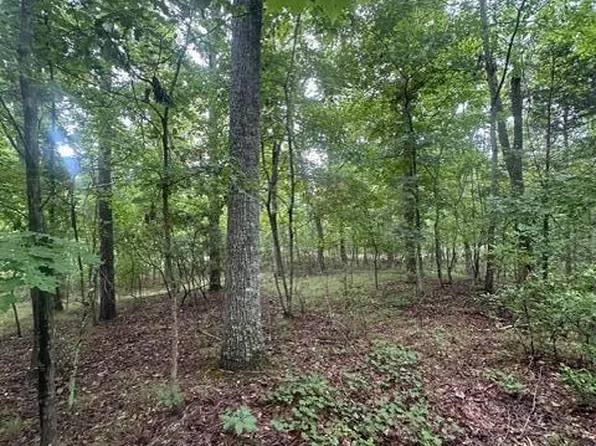 LOT 108 Chesadu Cir, South Pittsburg, TN 37380
