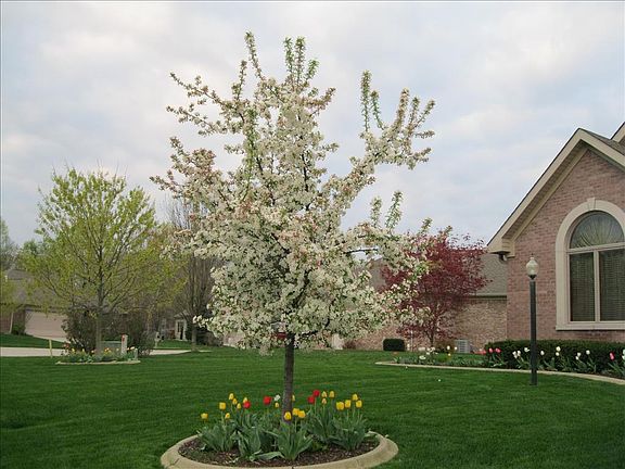  Custom Brick Home
