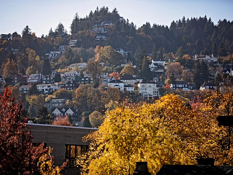 Iconic Portland Views