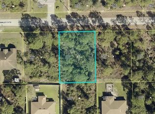 920 Binkley St E, Lehigh Acres, FL 33974