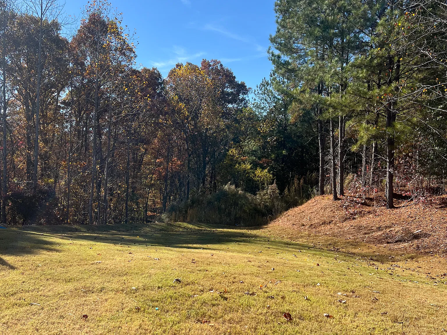 5 bed, 2511 sqft, $2,700 — Photo 3