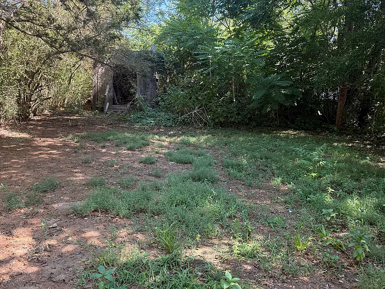 Prince Williams St — Photo 11