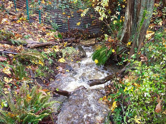 Our Creek