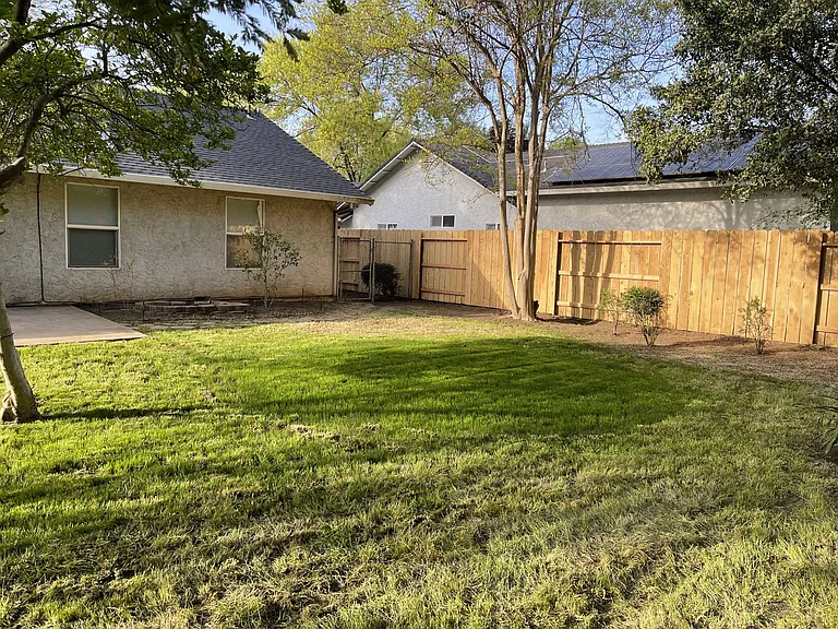 819 Black Walnut Way — Photo 13
