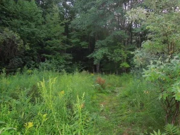 127 Pine Hill Rd, Wolfeboro, NH 03894