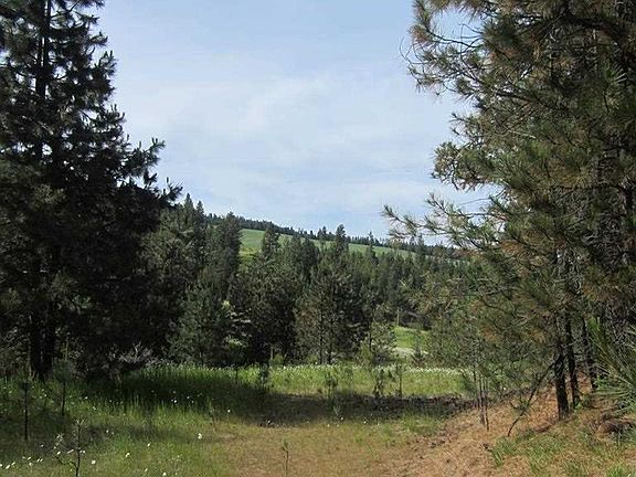 4th image of Nna Flannigan Creek Road