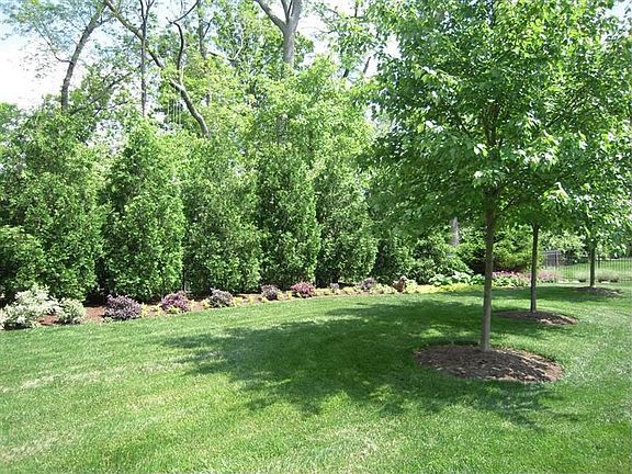 3rd image of 10842 Mariam Ln