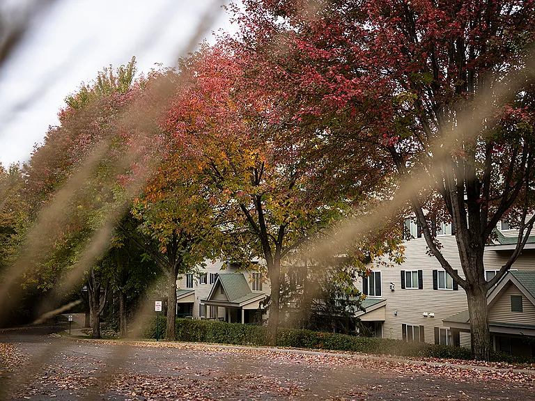 Promenade Oaks Apartments — Photo 60