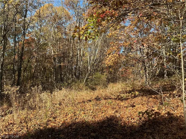 Okey Rd, Chandlersville, OH 43727