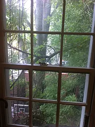 Rented by Downtown Realty Group LTD