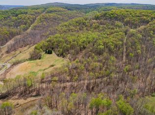 1472 Buckeye Rd, Tunnelton, WV 26444