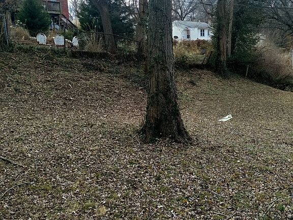 4th image of 7304 Albright Ave