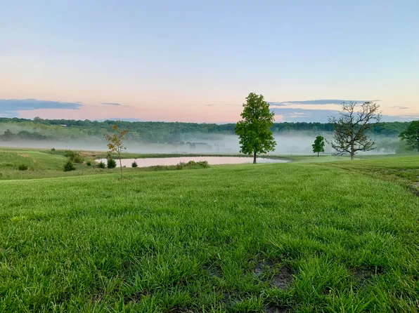 12 Fineview Lane, Long Lane, MO 65590