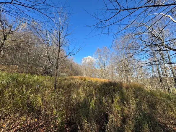 0 E Mountain Rd, Forest City, PA 18421