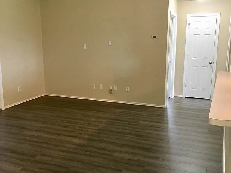 213 Silver Mist Cir — Photo 10