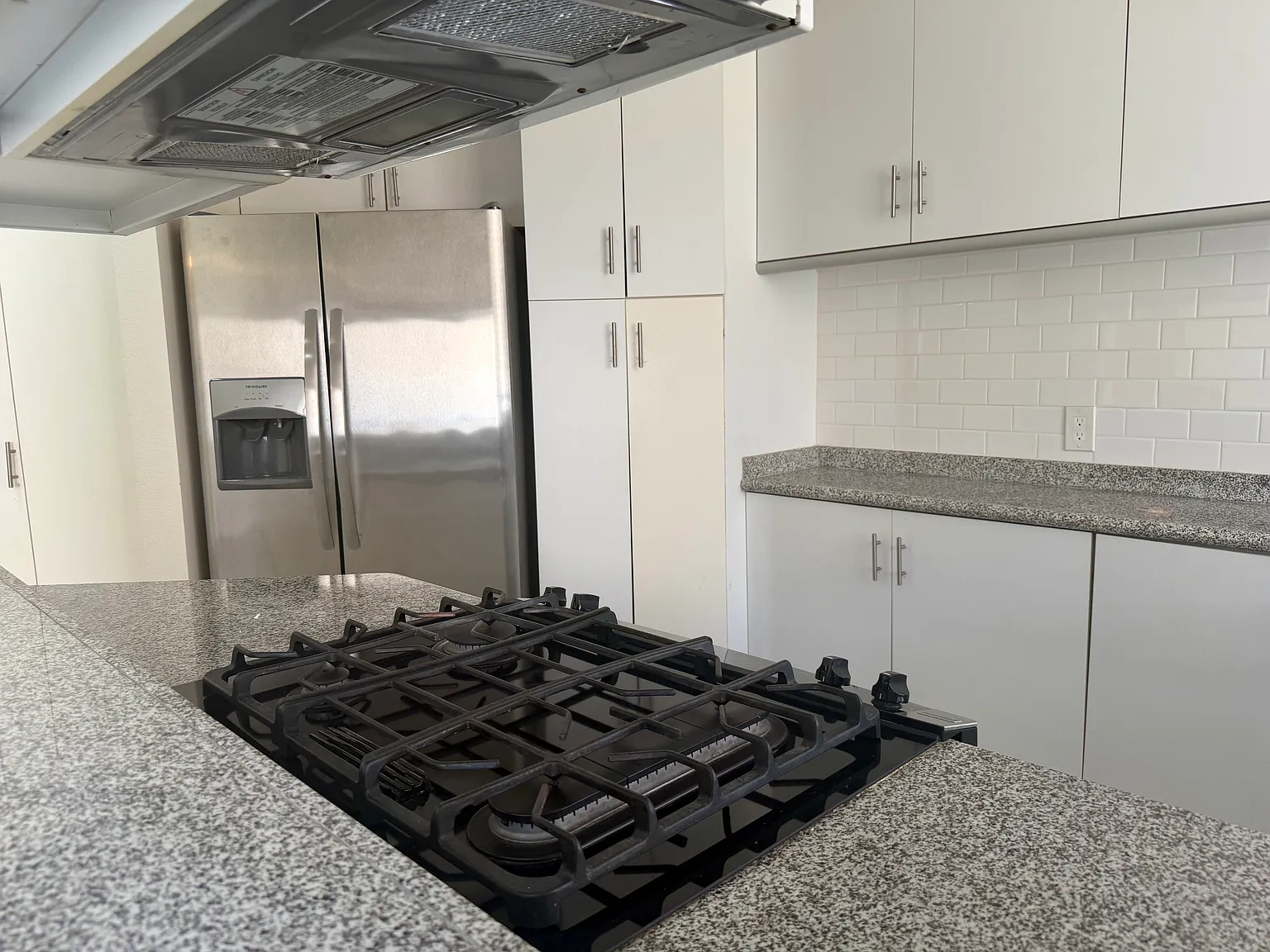 2 bed, 1000 sqft, $3,300 — Photo 3