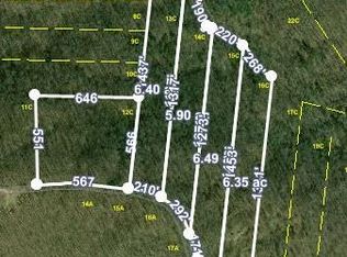 Tbd Dustin Ridge Rd, Spring City, TN 37381