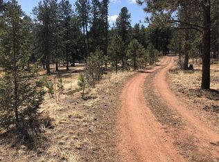 12999 Parker Ave, Pine, CO 80470