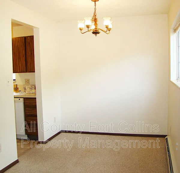 421 Mulberry Dr #1 — Photo 4