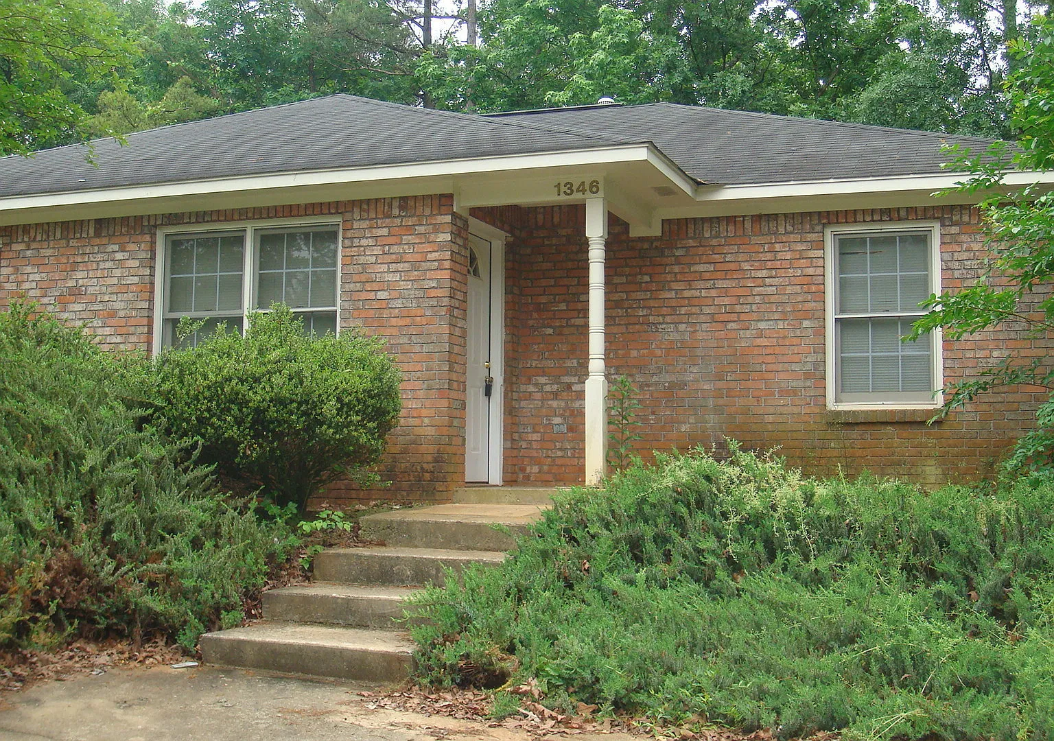 Newly Renovated! Available Now! — Photo 1