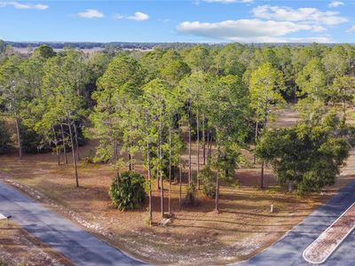 Falabella Ct Lot 39, Groveland, FL, 34736