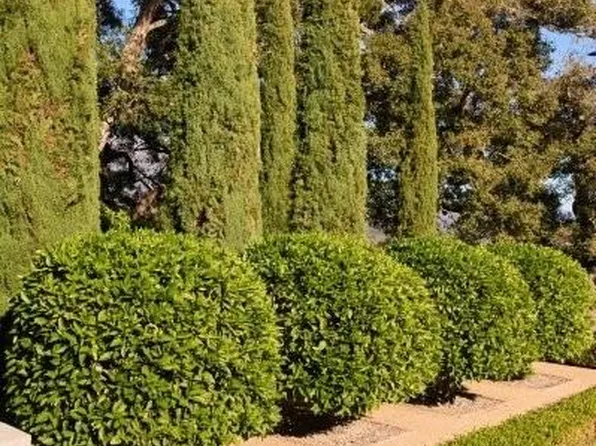 2910 Sycamore Canyon Rd, Santa Barbara, CA 93108