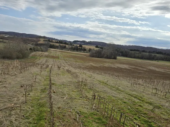 342 County Rd, Sweetwater, TN 37874