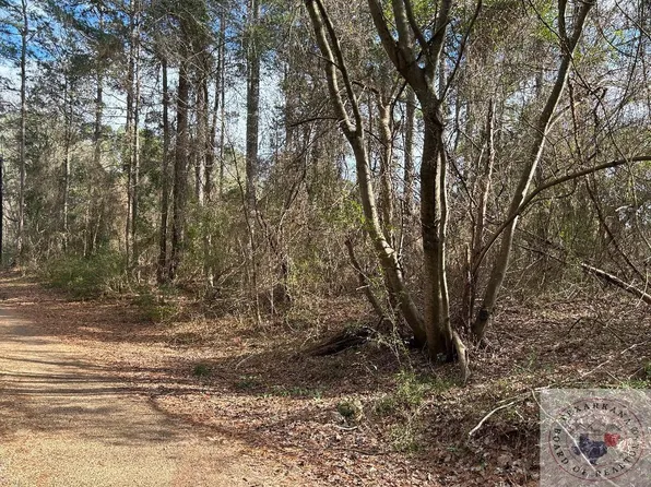 12 County Road 4789, Atlanta, TX 75551