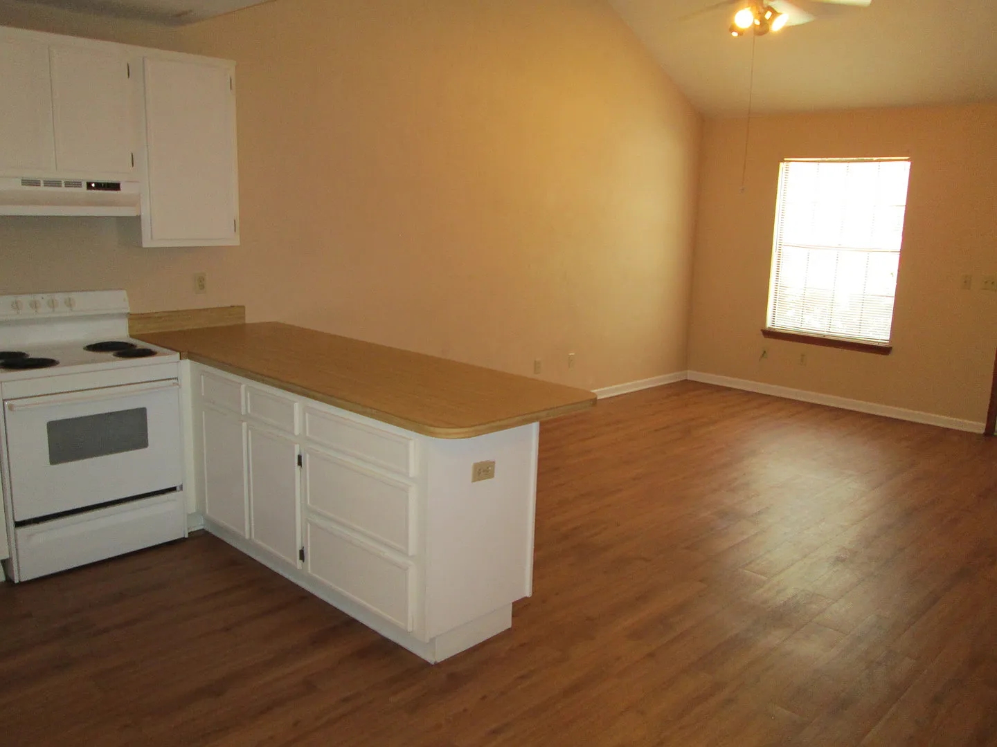 Townhome off Hartsfield Road — Photo 4