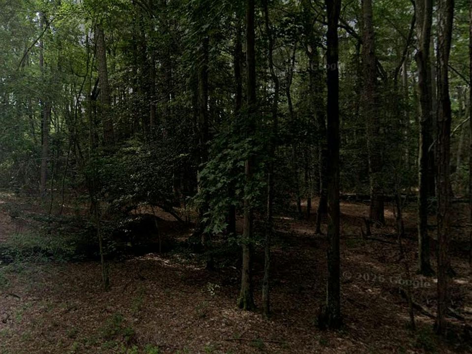 1st image of 11203 Punch Point Rd