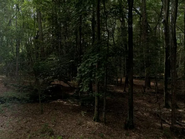11203 Punch Point Rd, Sherwood, MD 21665