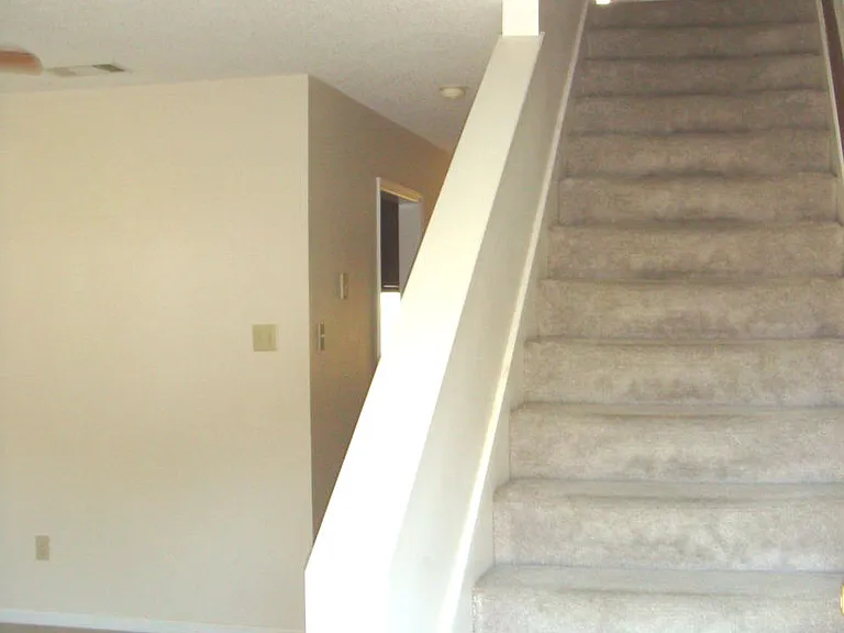 1803 Plum St — Photo 2