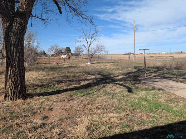 512 N Brownhorn St, Melrose, NM 88124
