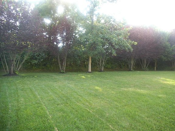 4th image of 6529 Wyndburne Dr