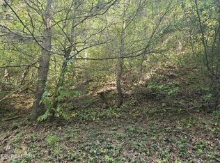 Black Bear Cub Way, Sevierville, TN 37862