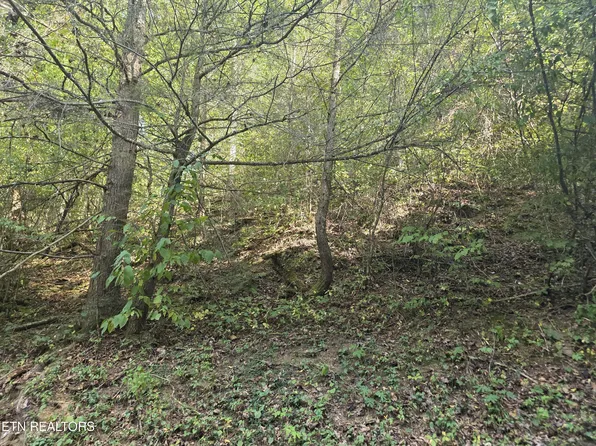 Black Bear Cub Way, Sevierville, TN 37862