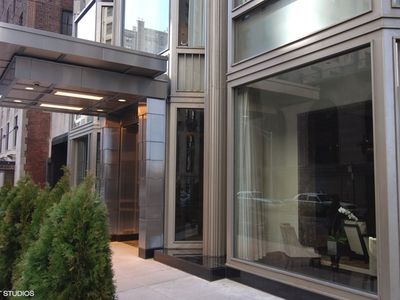 159 E Walton Pl APT 16B, Chicago, IL, 60611