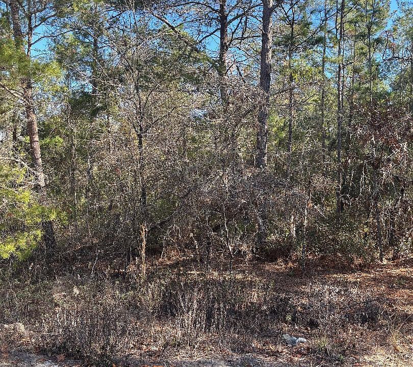 1st image of 7457 BIENVILLE Avenue