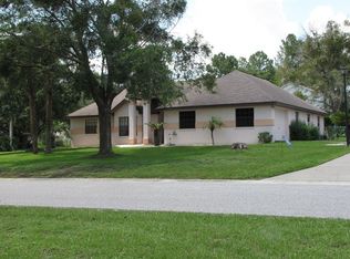 11708 Elm St, San Antonio, FL 33576