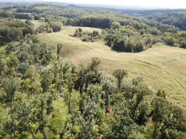 00 Roningen Road, Black River Falls, WI 54615