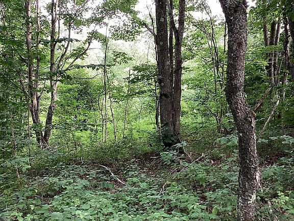 2nd image of LOT 605 Crestwood Cir