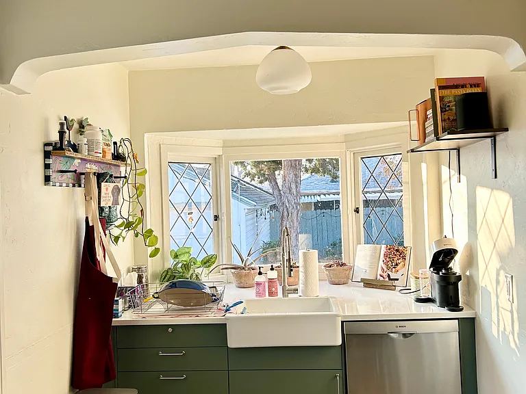 Kitchen sink view into the garden.