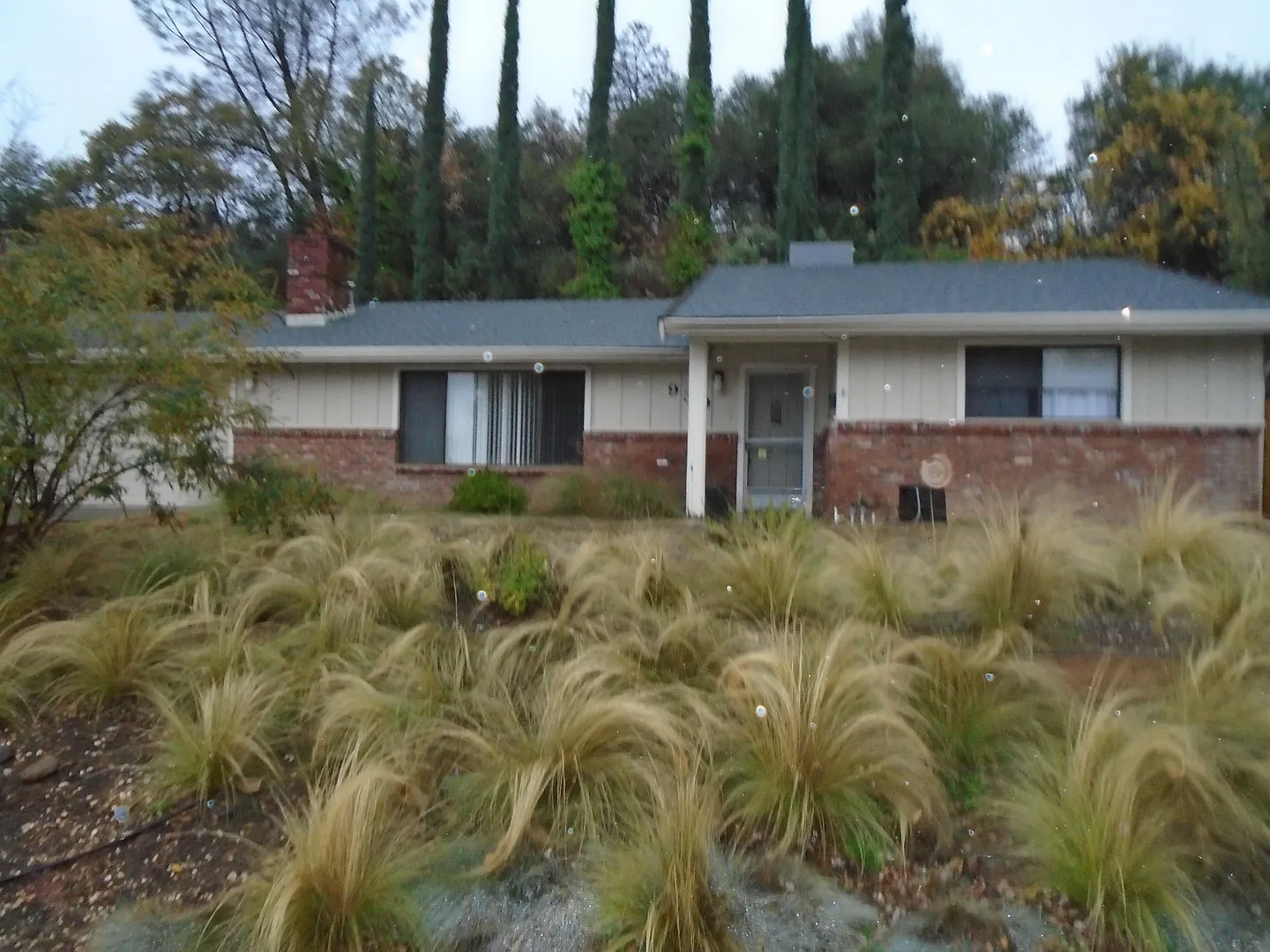 930 Royal Oaks Dr photo 1