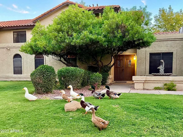 1262 E GREENWAY Circle, Mesa, AZ 85203