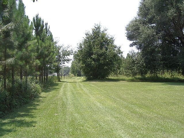 2nd image of 2421 SW Ichetucknee Ave