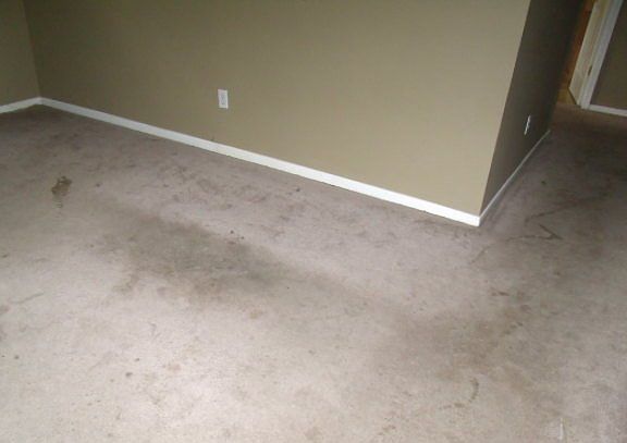 5th image of 713 N Mohican Dr
