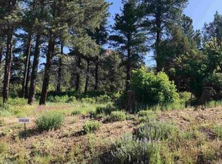 122 Wood Rose Ln, Durango, CO 81301