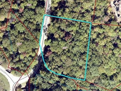 64 Settings Blvd #252, Black Mountain, NC, 28711