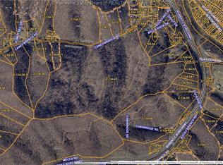 827 Caney Branch Rd, Chapmanville, WV 25508